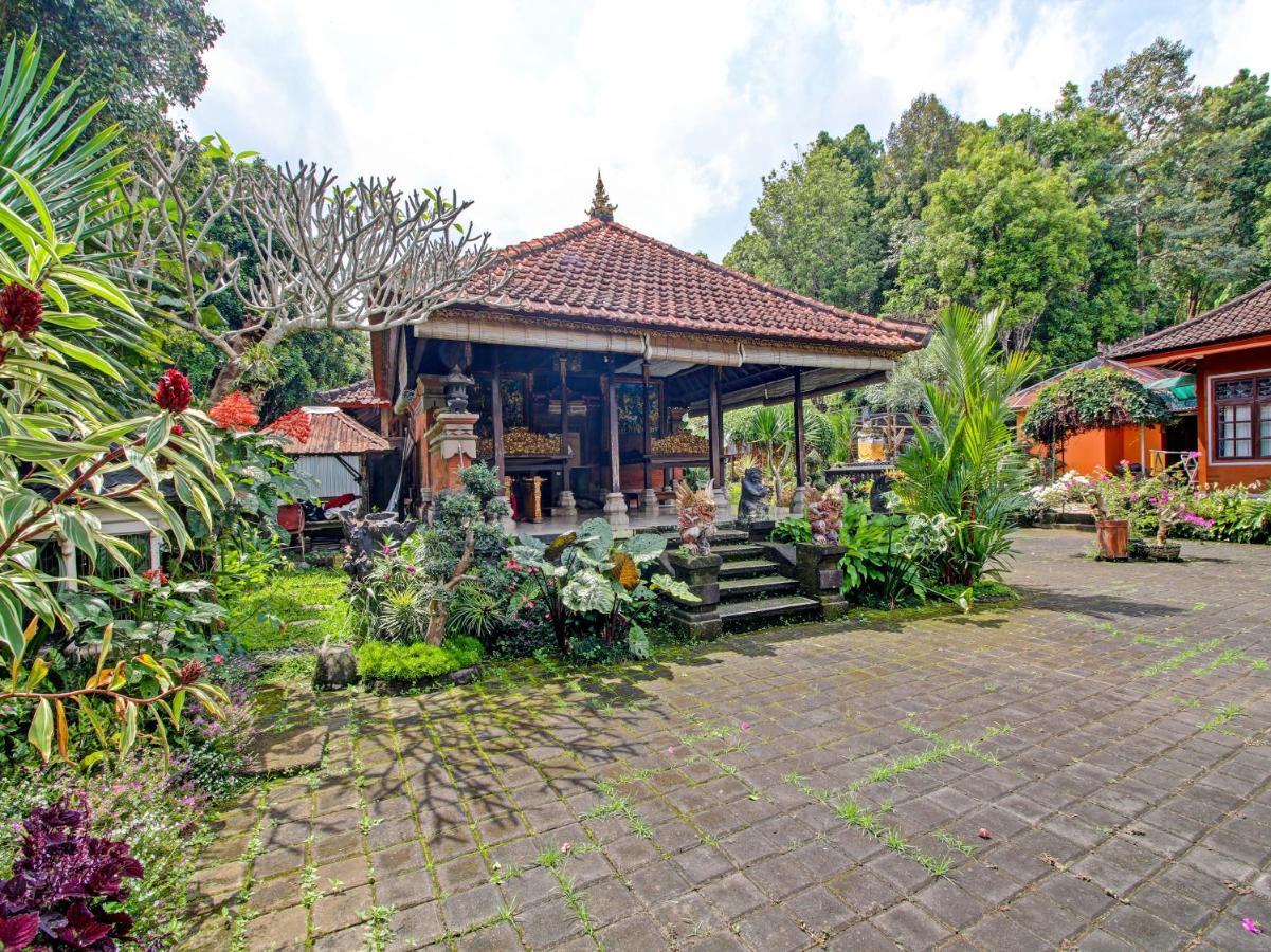 Oyo Homes 91091 Desa Wisata Umejero Munduk (Bali) Exterior photo