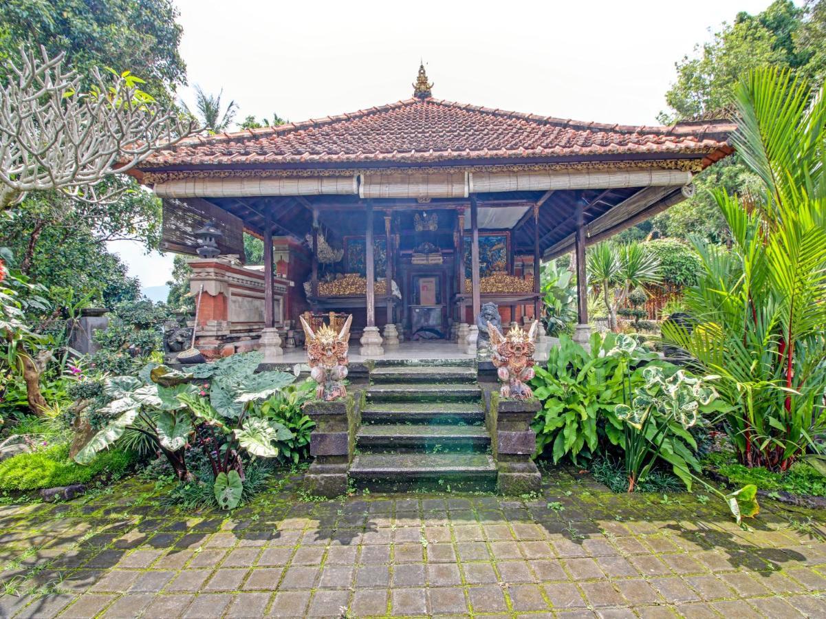 Oyo Homes 91091 Desa Wisata Umejero Munduk (Bali) Exterior photo