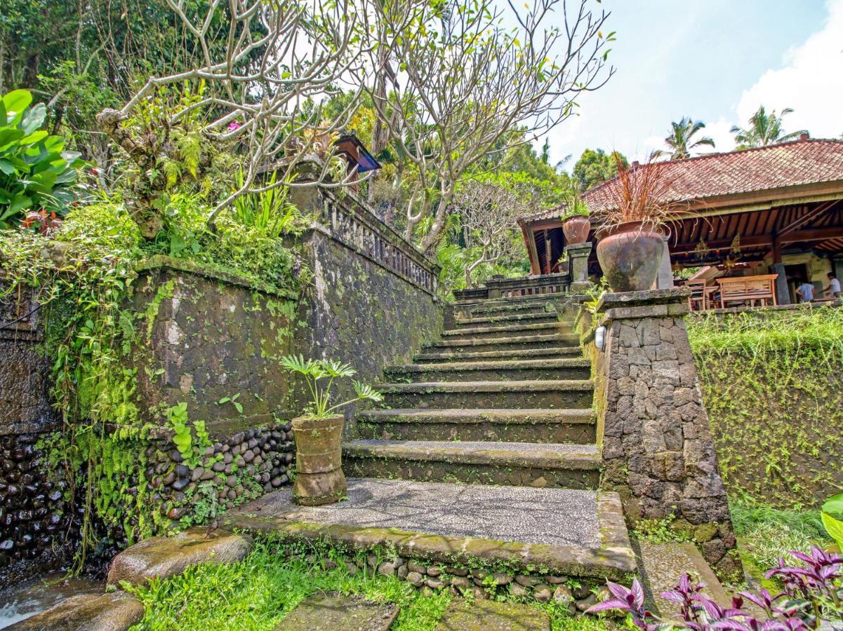 Oyo Homes 91091 Desa Wisata Umejero Munduk (Bali) Exterior photo